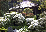 札所30番 瑞竜寺法雲寺